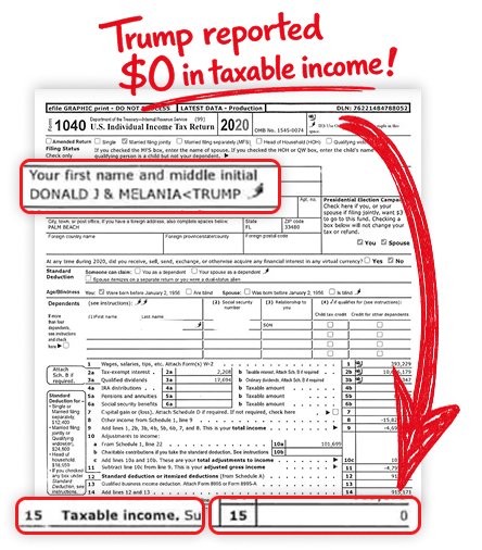 Trump 2020 Tax Return alt=